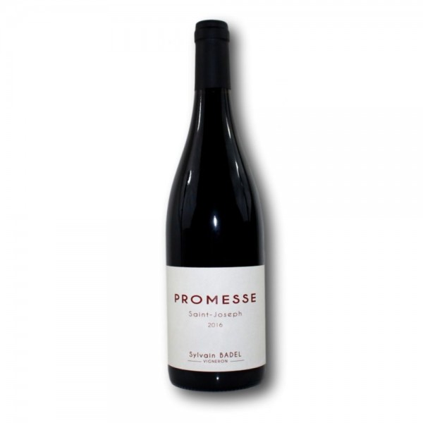 SAINT JOSEPH ROUGE - PROMESSE - DOMAINE SI LE VIN - 2022 - BIO