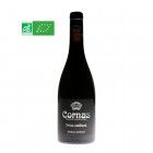 CORNAS - BRISE CAILLOUX - DOMAINE DU COULET - BIO - 2021