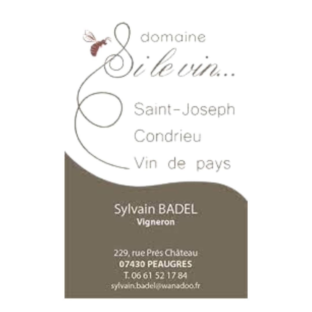 DOMAINE SI LE VIN - SYLVAIN BADEL