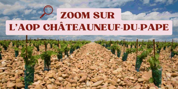 Zoom sur l'AOP Châteauneuf-du-Pape