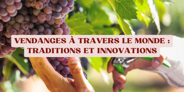 Vendanges à travers le monde