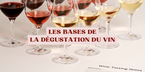 Les bases de la dégustation du vin