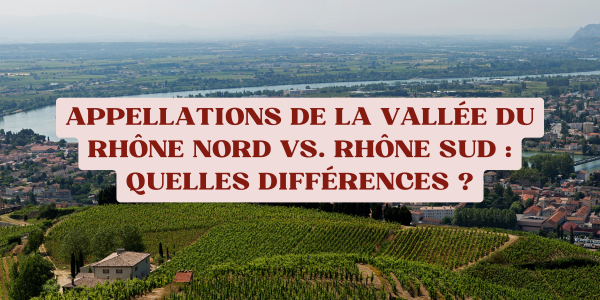 Appellations de la Vallée du Rhône Nord vs. Rhône Sud : Quelles différences ?