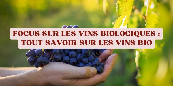 Focus sur les vins biologiques : Tout savoir sur les vins bio