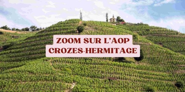 Zoom sur l'AOP Crozes-Hermitage